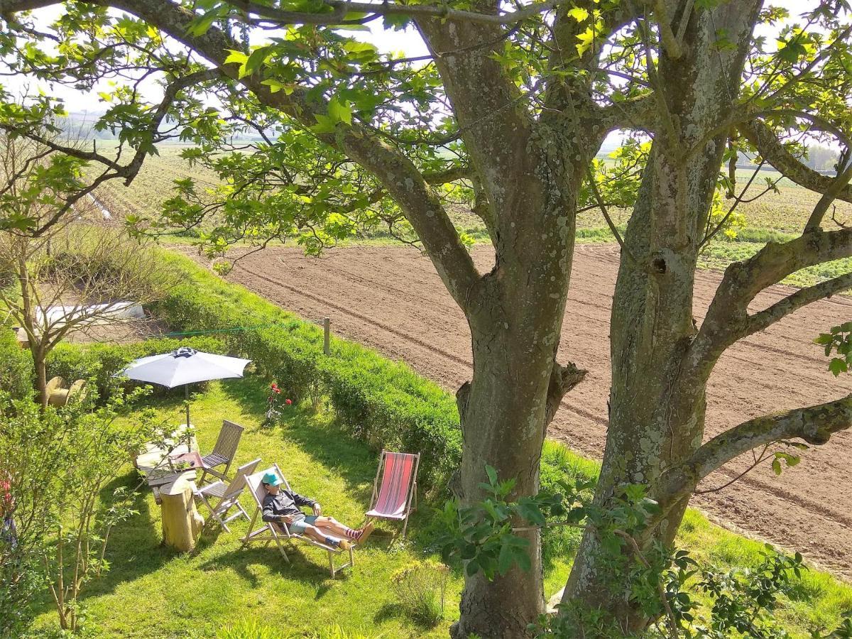 La Grange Aux Lievres, Gites Kerdoel Cléder エクステリア 写真